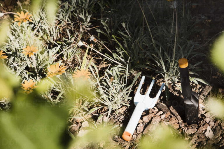 Gardening fork and spade in garden of flowers