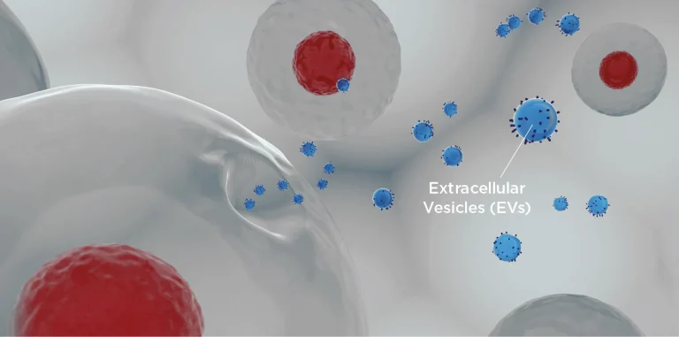 Fascinating extracellular vesicles: investigating their great potential